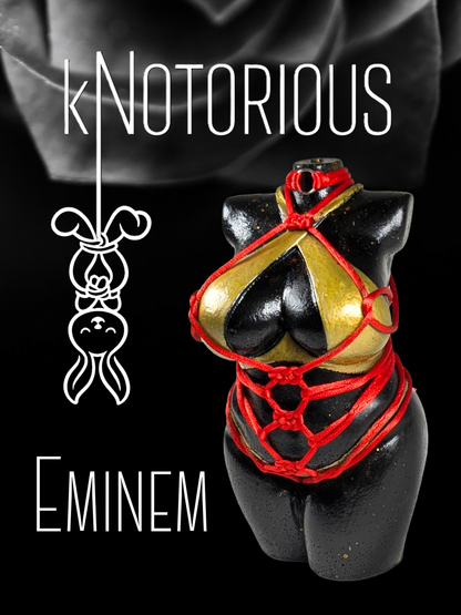 kNotorious Eminem